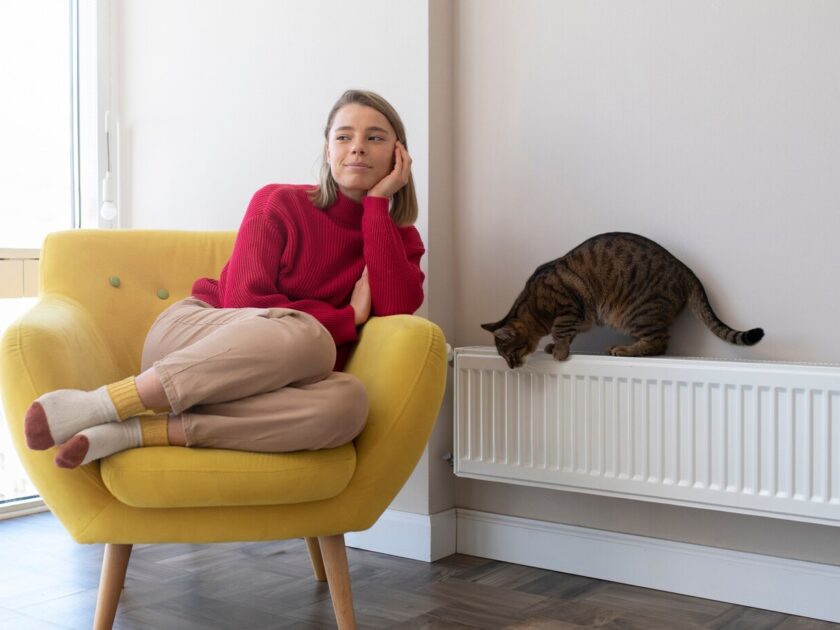 Arnavutköy Petek Temizliği